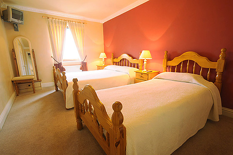 Camp Junction House, Camp. County Kerry | Twin Bedroom