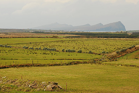 An Bóthar, Cuas. County Kerry | View of Three Sisters