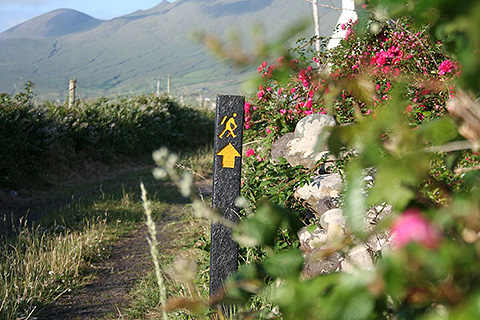 An Riasc, Feohanagh. County Kerry | The Dingle Way